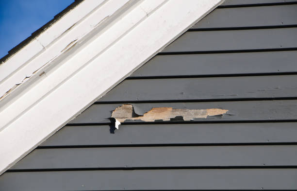 Best Custom Trim and Detailing for Siding  in Burton, SC