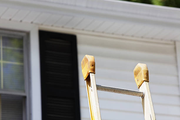 Best Vinyl Siding Installation  in Burton, SC