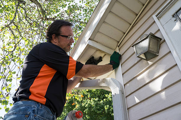 Best Insulated Siding Installation  in Burton, SC